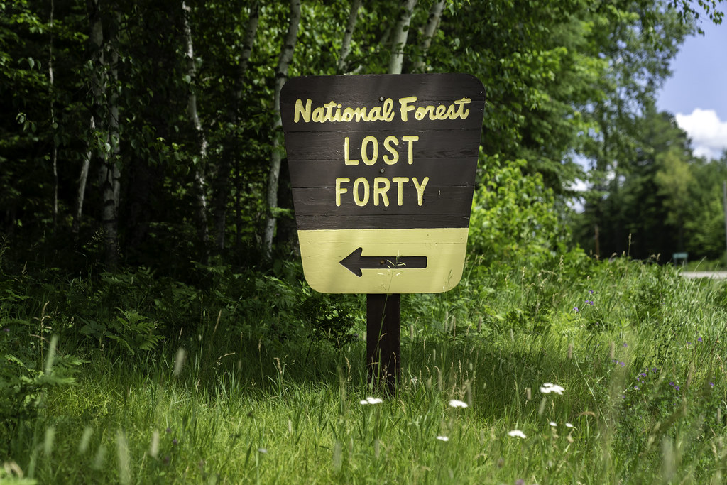 Why Is the Festival Called "Lost 40?"