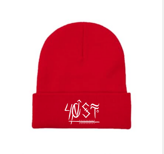 Lost 40 Red Stocking Cap