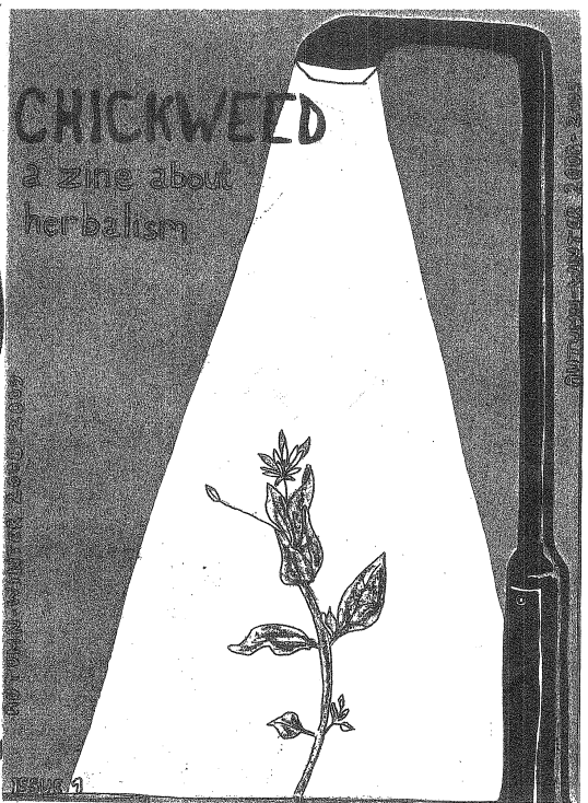 Chickweed